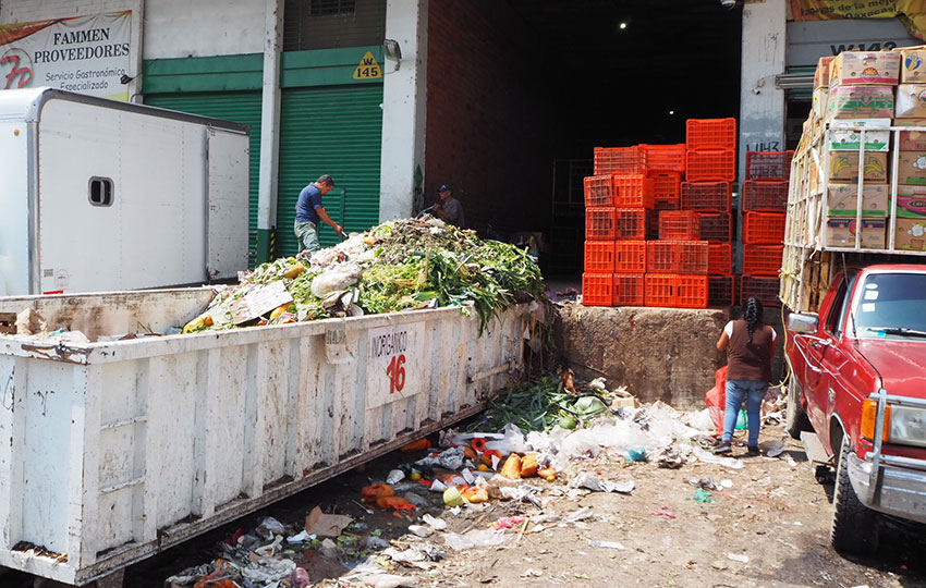 The massive amounts of organic trash fill dozens of dumpsters a day.