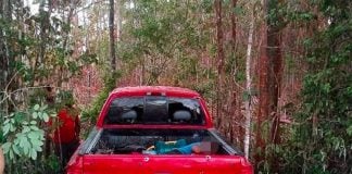 The truck that was attacked by gunmen in Bacalar.