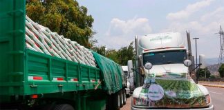 Trucks loaded with fertilizer in Guerrero yesterday.