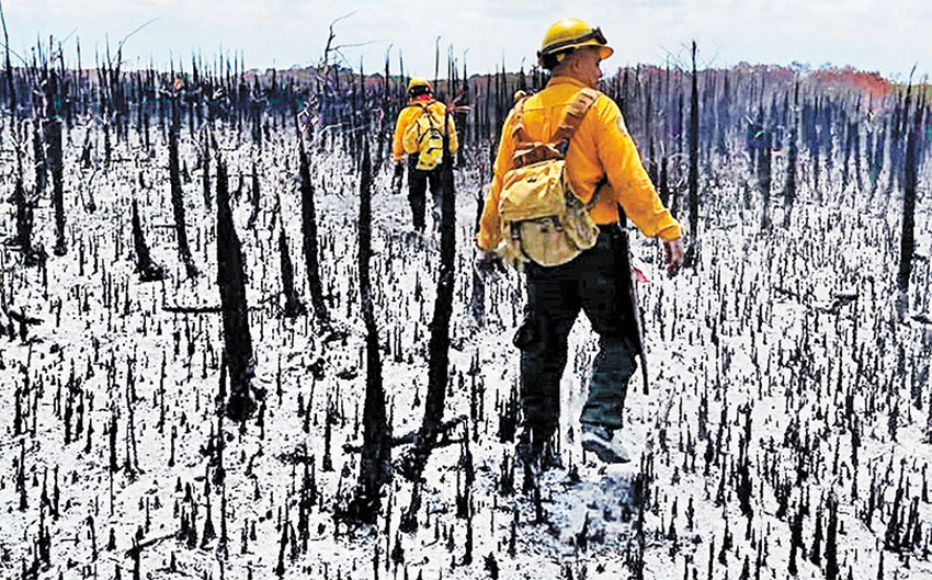 Firefighters walk through a burned area of the reserve.