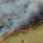 The wildfire advances across the Sian Ka'an Biosphere Reserve.