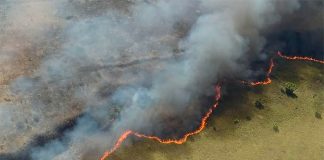 The wildfire advances across the Sian Ka'an Biosphere Reserve.