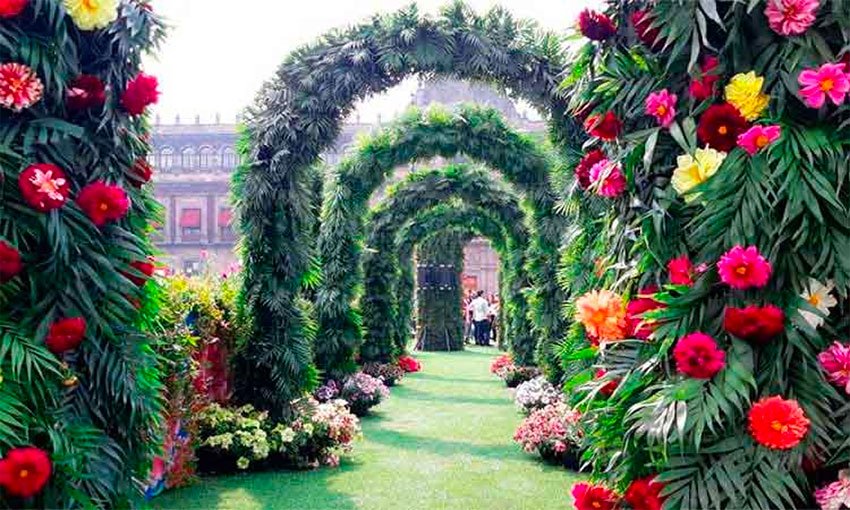 There will be lots of color in the zócalo this weekend.