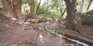 Residents claim runoff from the site is contaminating a river.