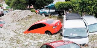 Winter wonderland in Guadalajara Sunday morning.