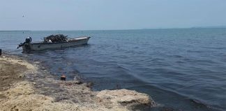 Sewage has contaminated Juchitán's Laguna Superior.
