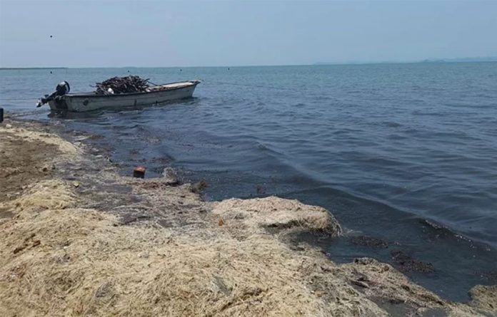 Sewage has contaminated Juchitán's Laguna Superior.