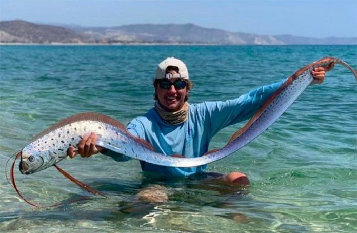 Jacob Thompson and the oarfish on a beach in Baja.