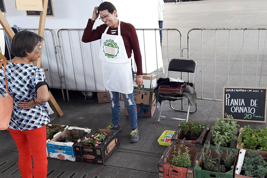 A prospective buyer looks at plants for sale.