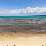 Swimmers find sargassum-free water about 30 meters out on a Playa del Carmen beach.