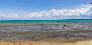Swimmers find sargassum-free water about 30 meters out on a Playa del Carmen beach.