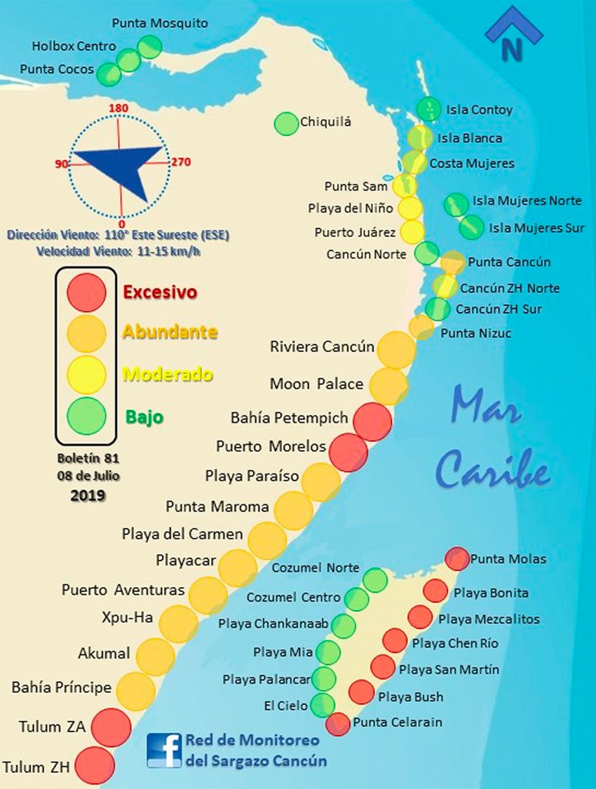 The Cancún sargassum monitoring network published this map