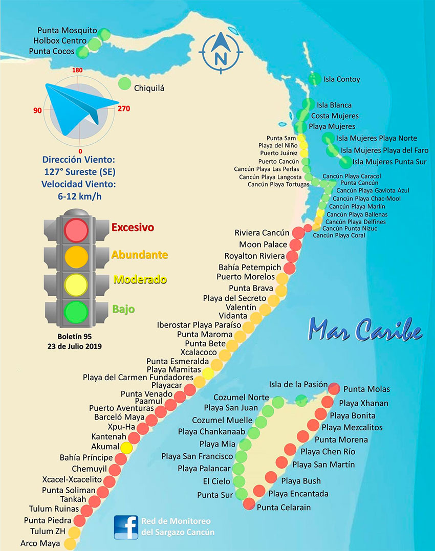 Excessive amounts of sargassum at 29 locations in Quintana Roo