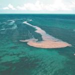 'Islands' of sargassum in the Caribbean Sea, Mexico-bound.