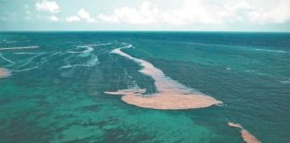 'Islands' of sargassum in the Caribbean Sea, Mexico-bound.