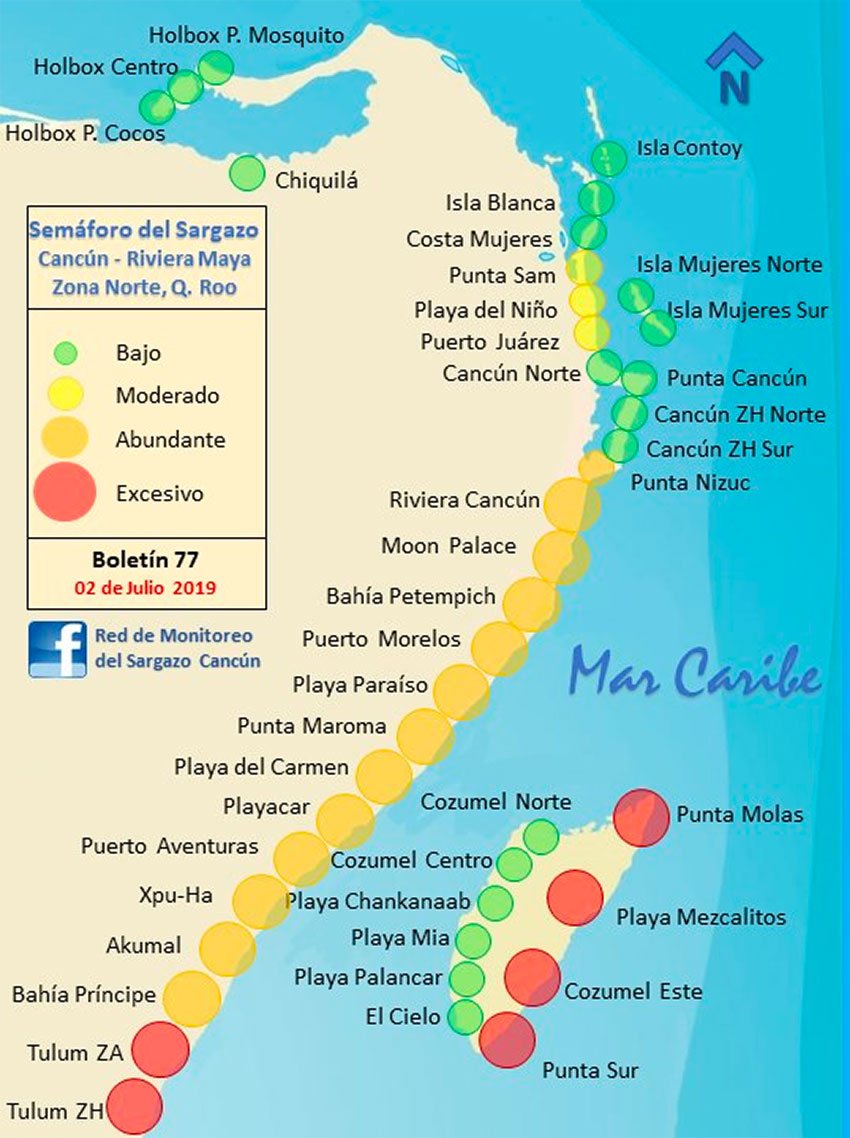 The Sargassum Monitoring Network's map as of yesterday