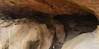 This was home for Sinaloa Cartel slaves.