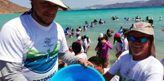 The weekend totoaba release in Baja California Sur.
