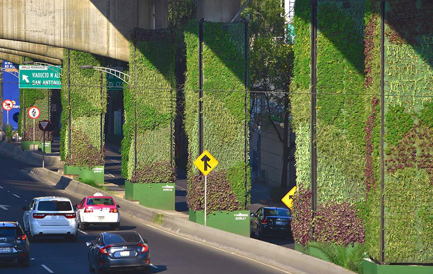 vertical gardens