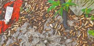 Thousands of bones were found in Culiacán.