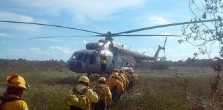 Firefighters have been busy in the Sian Ka'an Biosphere Reserve.
