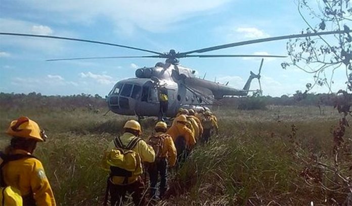 Firefighters have been busy in the Sian Ka'an Biosphere Reserve.