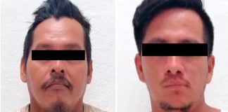 Loggers will plant trees instead of cutting them down.