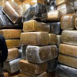 The marijuana discovered this week in Tijuana.