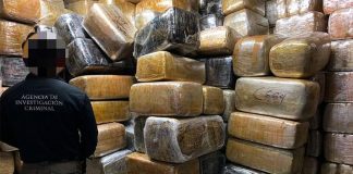 The marijuana discovered this week in Tijuana.