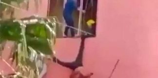 Officer strikes suspected thief with a stick while a crowd below chants the piñata song.