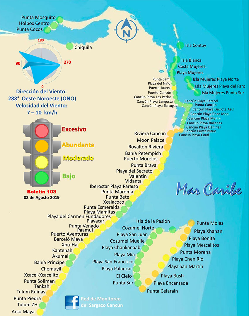 sargassum map