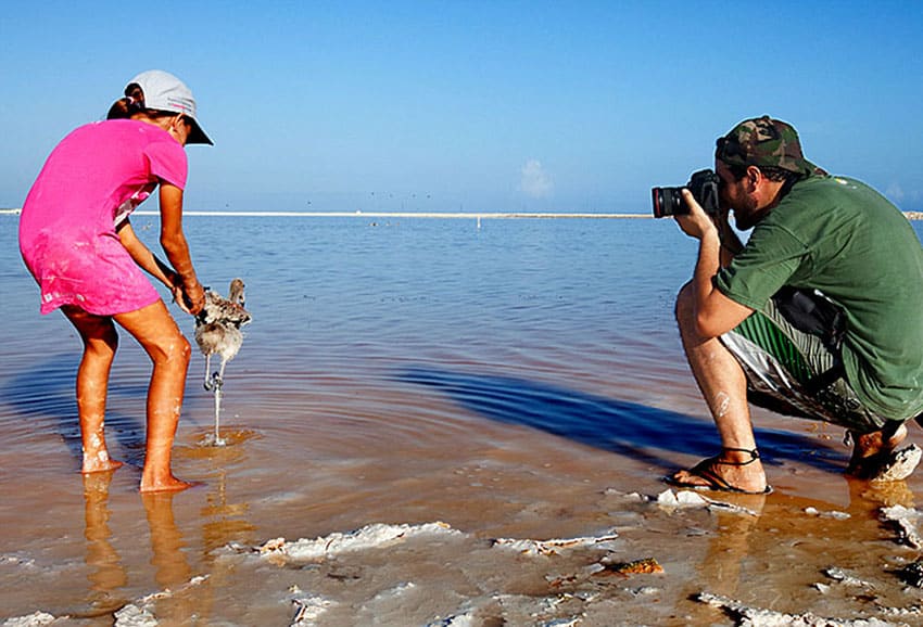 Filming the release of a newly tagged flamingo in Yucatán.