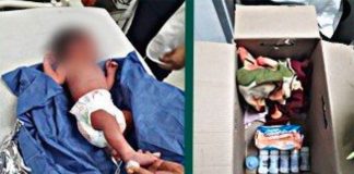 One of the babies had been left in a cardboard box.