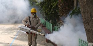 Spraying against dengue-carrying mosquitoes.