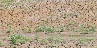 Drought conditions are the worst in Veracruz and Oaxaca.