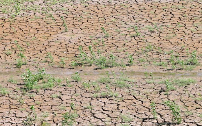 Drought conditions are the worst in Veracruz and Oaxaca.