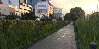 Ecoducto's artificial wetlands purify 30,000 liters of sewage daily.