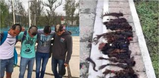 Shaved students and their shorn locks at a Michoacán college.