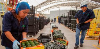 Agri-food sector was one contributor to job growth.