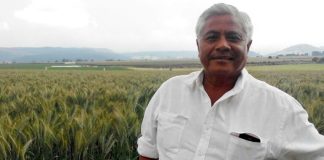 Mayor-elect Miranda gave the shout of independence from his prison cell.