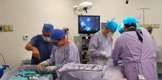 Guanajuato leads for organ donations.