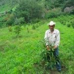 Could pot be a way out of poverty?