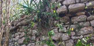 Part of the 37-meter pyramid located at X'baatún