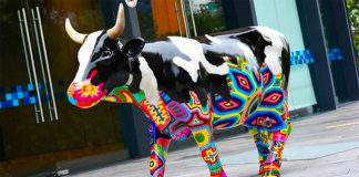 Painted cows are coming back.