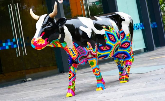 Painted cows are coming back.