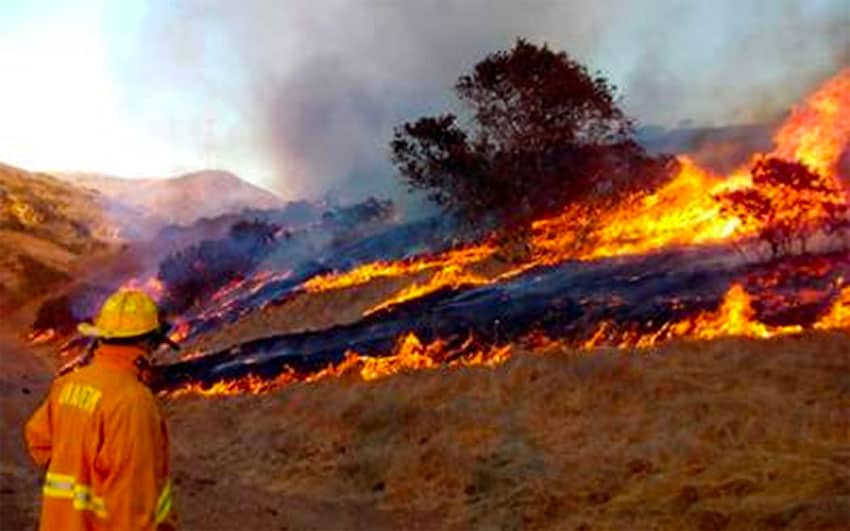 About 50 fires have been reported in four municipalities.