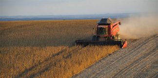 The primary sector grew 3.5% in the third quarter.