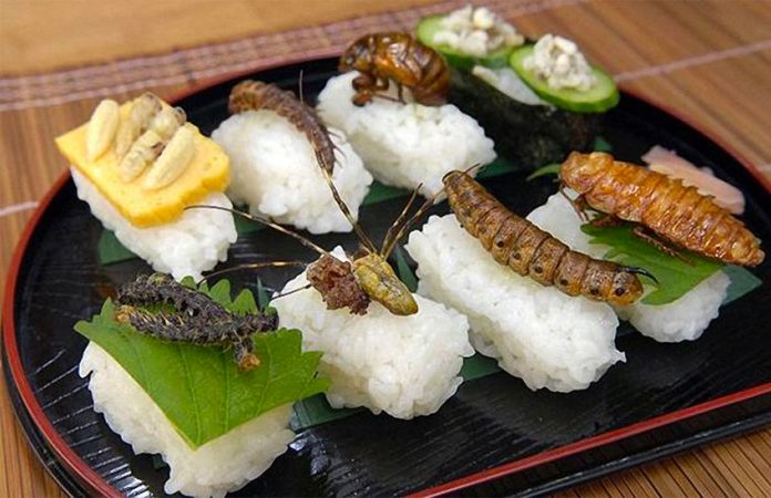 More than 500 insects can be found in Mexican cuisine.