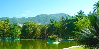 The Guerrero city's green lung.