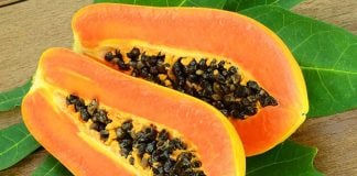 In Mexico, there's a whole world of papayas to explore.